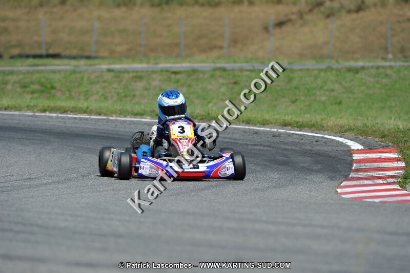 DSC_ (444).jpg